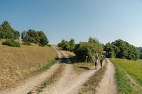 Wandern_Wegkreuz